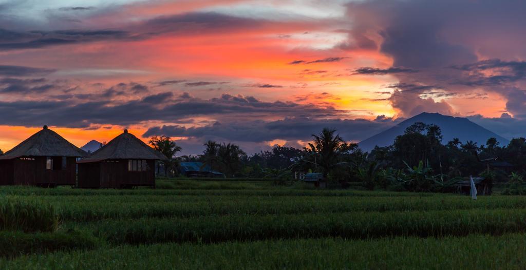 Solo Villas & Retreat Ubud Extérieur photo