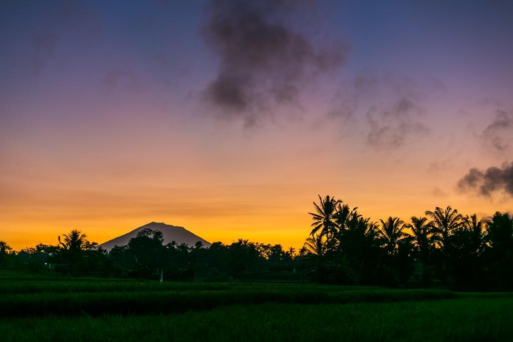 Solo Villas & Retreat Ubud Extérieur photo