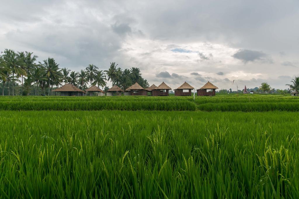 Solo Villas & Retreat Ubud Extérieur photo