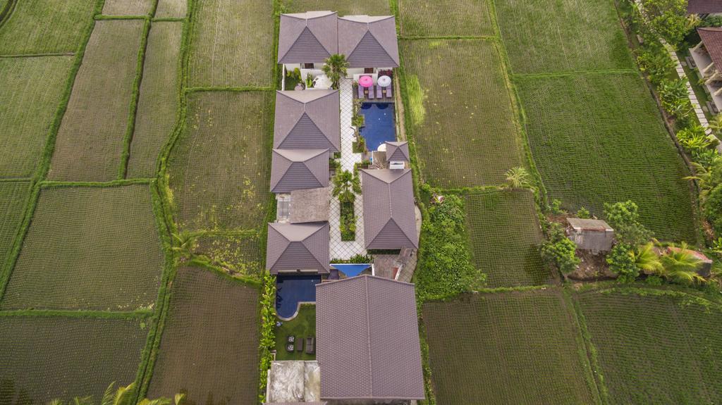 Solo Villas & Retreat Ubud Extérieur photo